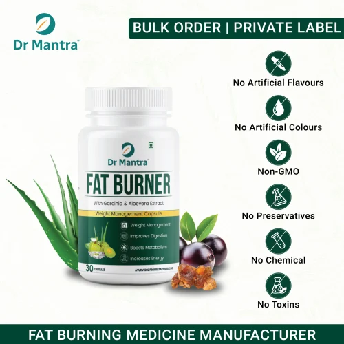 Fat Burner Capsule